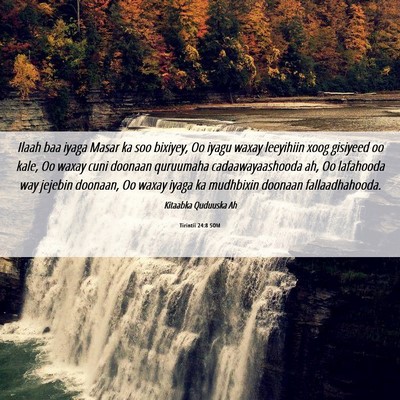 Picture 06 - Tirintii 24:8 SOM - Ilaah baa iyaga Masar ka soo bixiyey, Oo iyagu - Bible Verse Picture