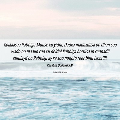 Picture 06 - Tirintii 25:4 SOM - Kolkaasaa Rabbigu Muuse ku yidhi, Dadka - Bible Verse Picture