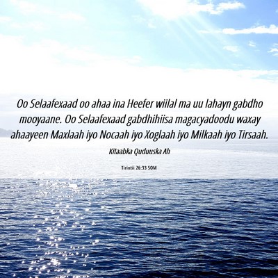 Picture 06 - Tirintii 26:33 SOM - Oo Selaafexaad oo ahaa ina Heefer wiilal ma uu - Bible Verse Picture