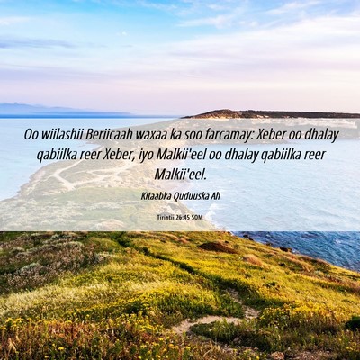 Picture 06 - Tirintii 26:45 SOM - Oo wiilashii Beriicaah waxaa ka soo farcamay: - Bible Verse Picture