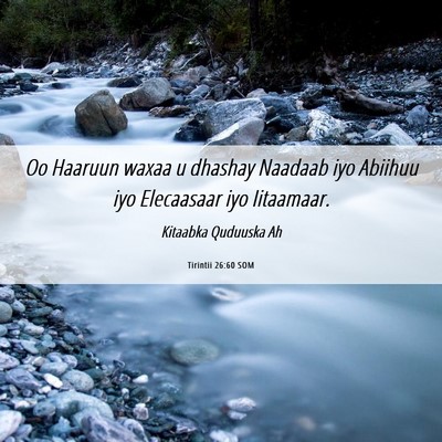 Picture 06 - Tirintii 26:60 SOM - Oo Haaruun waxaa u dhashay Naadaab iyo Abiihuu - Bible Verse Picture