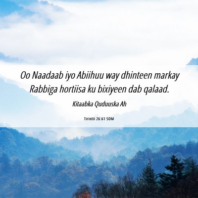 Picture 06 - Tirintii 26:61 SOM - Oo Naadaab iyo Abiihuu way dhinteen markay - Bible Verse Picture