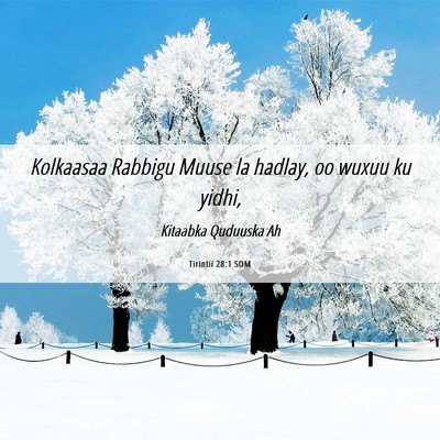 Picture 06 - Tirintii 28:1 SOM - Kolkaasaa Rabbigu Muuse la hadlay, oo wuxuu ku - Bible Verse Picture