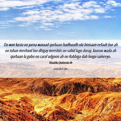 Picture 06 - Tirintii 28:13 SOM - Oo wan kasta oo yarna waxaad qurbaan hadhuudh ula - Bible Verse Picture