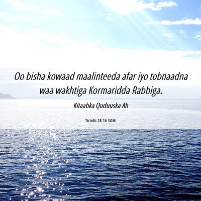 Picture 06 - Tirintii 28:16 SOM - Oo bisha kowaad maalinteeda afar iyo tobnaadna - Bible Verse Picture