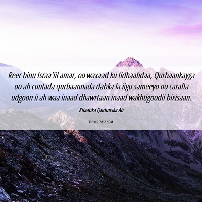 Picture 06 - Tirintii 28:2 SOM - Reer binu Israa'iil amar, oo waxaad ku - Bible Verse Picture