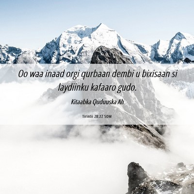 Picture 06 - Tirintii 28:22 SOM - Oo waa inaad orgi qurbaan dembi u bixisaan si - Bible Verse Picture