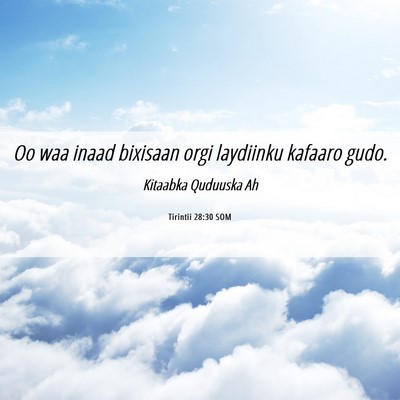 Picture 06 - Tirintii 28:30 SOM - Oo waa inaad bixisaan orgi laydiinku kafaaro - Bible Verse Picture