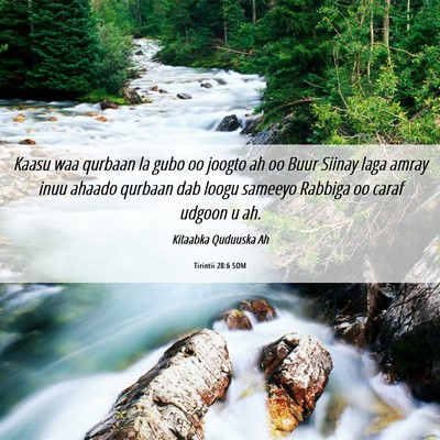 Picture 06 - Tirintii 28:6 SOM - Kaasu waa qurbaan la gubo oo joogto ah oo Buur - Bible Verse Picture