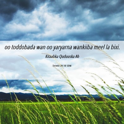 Picture 06 - Tirintii 29:10 SOM - oo toddobada wan oo yaryarna wankiiba meel la - Bible Verse Picture