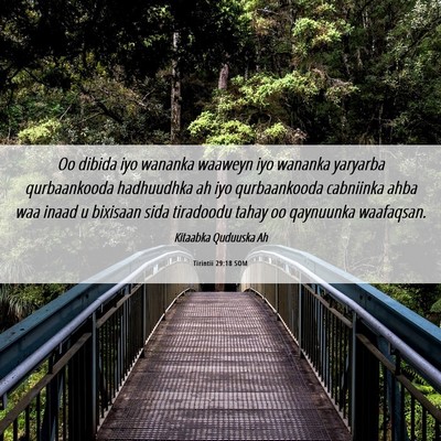 Picture 06 - Tirintii 29:18 SOM - Oo dibida iyo wananka waaweyn iyo wananka - Bible Verse Picture