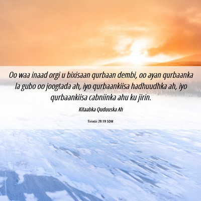Picture 06 - Tirintii 29:19 SOM - Oo waa inaad orgi u bixisaan qurbaan dembi, oo - Bible Verse Picture