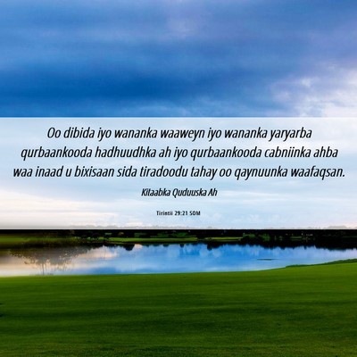 Picture 06 - Tirintii 29:21 SOM - Oo dibida iyo wananka waaweyn iyo wananka - Bible Verse Picture