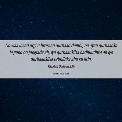 Picture 06 - Tirintii 29:25 SOM - Oo waa inaad orgi u bixisaan qurbaan dembi, oo - Bible Verse Picture