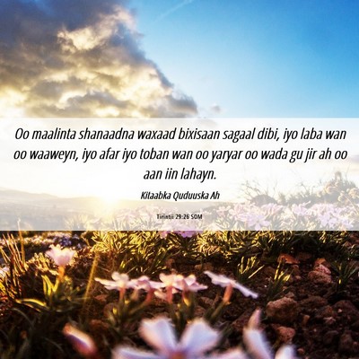 Picture 06 - Tirintii 29:26 SOM - Oo maalinta shanaadna waxaad bixisaan sagaal - Bible Verse Picture