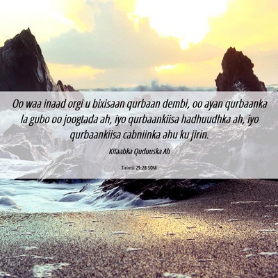 Picture 06 - Tirintii 29:28 SOM - Oo waa inaad orgi u bixisaan qurbaan dembi, oo - Bible Verse Picture