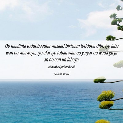 Picture 06 - Tirintii 29:32 SOM - Oo maalinta toddobaadna waxaad bixisaan toddoba - Bible Verse Picture