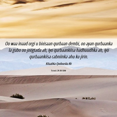 Picture 06 - Tirintii 29:38 SOM - Oo waa inaad orgi u bixisaan qurbaan dembi, oo - Bible Verse Picture