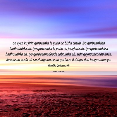 Picture 06 - Tirintii 29:6 SOM - oo ayan ku jirin qurbaanka la gubo ee bisha - Bible Verse Picture