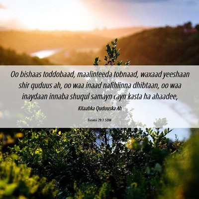 Picture 06 - Tirintii 29:7 SOM - Oo bishaas toddobaad, maalinteeda tobnaad, waxaad - Bible Verse Picture