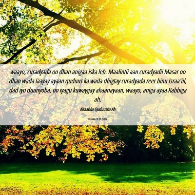 Picture 06 - Tirintii 3:13 SOM - waayo, curadyada oo dhan anigaa iska leh. - Bible Verse Picture