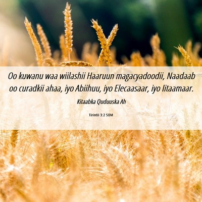 Picture 06 - Tirintii 3:2 SOM - Oo kuwanu waa wiilashii Haaruun magacyadoodii, - Bible Verse Picture