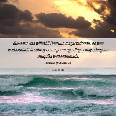 Picture 06 - Tirintii 3:3 SOM - Kuwaasu waa wiilashii Haaruun magacyadoodii, oo - Bible Verse Picture