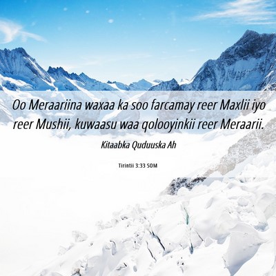 Picture 06 - Tirintii 3:33 SOM - Oo Meraariina waxaa ka soo farcamay reer Maxlii - Bible Verse Picture
