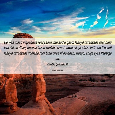 Picture 06 - Tirintii 3:41 SOM - Oo waa inaad ii qaaddaa reer Laawi intii aad ii - Bible Verse Picture