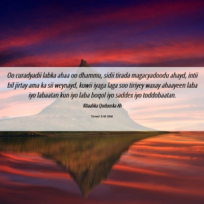 Picture 06 - Tirintii 3:43 SOM - Oo curadyadii labka ahaa oo dhammu, sidii tirada - Bible Verse Picture