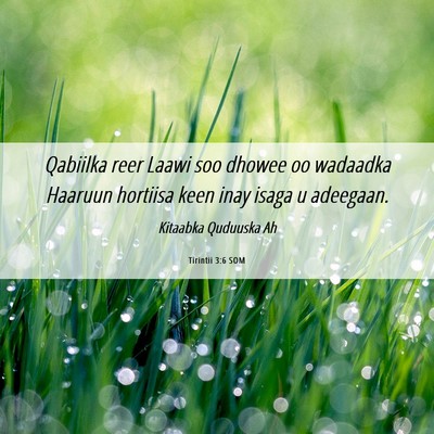 Picture 06 - Tirintii 3:6 SOM - Qabiilka reer Laawi soo dhowee oo wadaadka - Bible Verse Picture