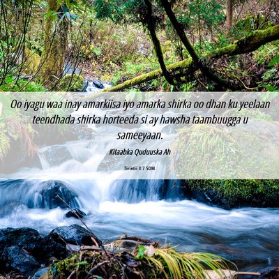 Picture 06 - Tirintii 3:7 SOM - Oo iyagu waa inay amarkiisa iyo amarka shirka oo - Bible Verse Picture