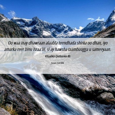 Picture 06 - Tirintii 3:8 SOM - Oo waa inay dhawraan alaabta teendhada shirka oo - Bible Verse Picture