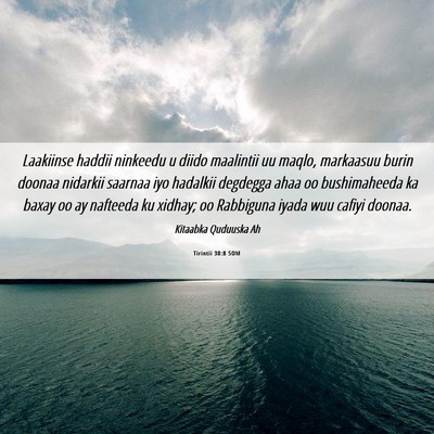 Picture 06 - Tirintii 30:8 SOM - Laakiinse haddii ninkeedu u diido maalintii uu - Bible Verse Picture