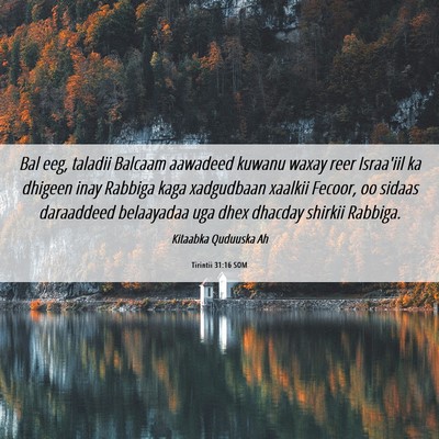 Picture 06 - Tirintii 31:16 SOM - Bal eeg, taladii Balcaam aawadeed kuwanu waxay - Bible Verse Picture