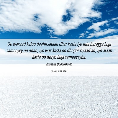 Picture 06 - Tirintii 31:20 SOM - Oo waxaad kaloo daahirsataan dhar kasta iyo inta - Bible Verse Picture