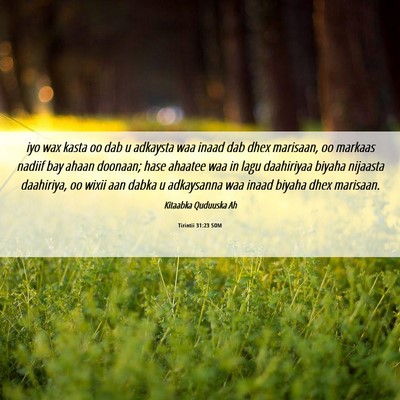 Picture 06 - Tirintii 31:23 SOM - iyo wax kasta oo dab u adkaysta waa inaad dab - Bible Verse Picture