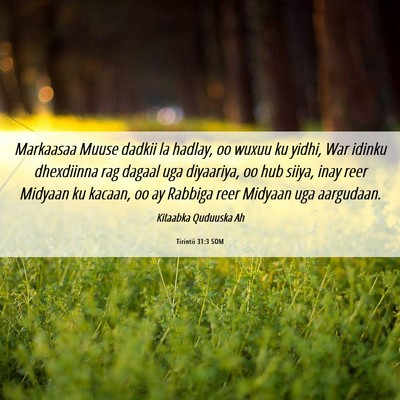 Picture 06 - Tirintii 31:3 SOM - Markaasaa Muuse dadkii la hadlay, oo wuxuu ku - Bible Verse Picture