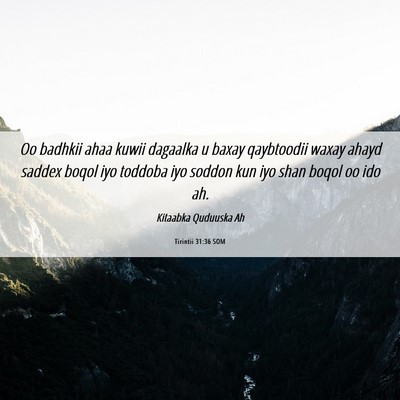 Picture 06 - Tirintii 31:36 SOM - Oo badhkii ahaa kuwii dagaalka u baxay qaybtoodii - Bible Verse Picture
