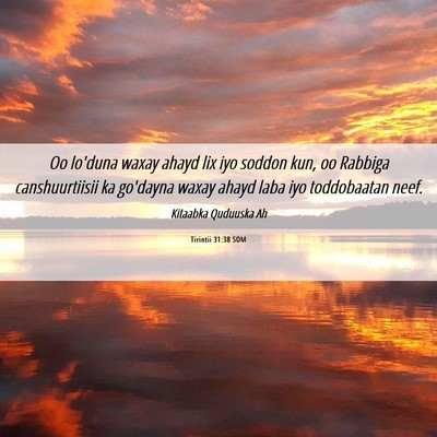 Picture 06 - Tirintii 31:38 SOM - Oo lo'duna waxay ahayd lix iyo soddon kun, oo - Bible Verse Picture