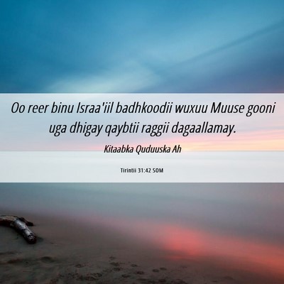 Picture 06 - Tirintii 31:42 SOM - Oo reer binu Israa'iil badhkoodii wuxuu Muuse - Bible Verse Picture