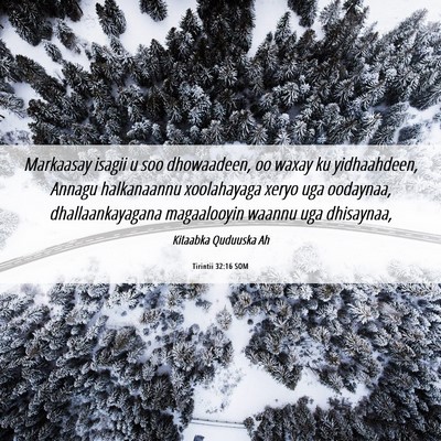 Picture 06 - Tirintii 32:16 SOM - Markaasay isagii u soo dhowaadeen, oo waxay ku - Bible Verse Picture