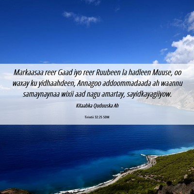 Picture 06 - Tirintii 32:25 SOM - Markaasaa reer Gaad iyo reer Ruubeen la hadleen - Bible Verse Picture