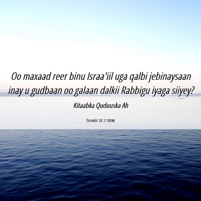 Picture 06 - Tirintii 32:7 SOM - Oo maxaad reer binu Israa'iil uga qalbi - Bible Verse Picture