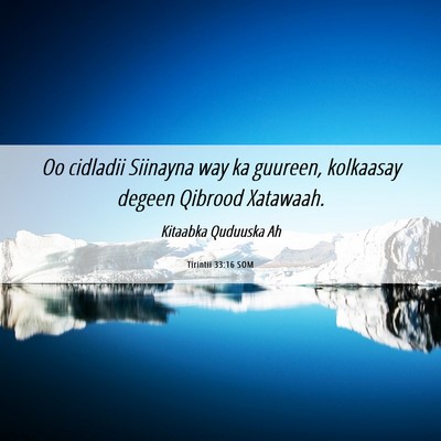 Picture 06 - Tirintii 33:16 SOM - Oo cidladii Siinayna way ka guureen, kolkaasay - Bible Verse Picture