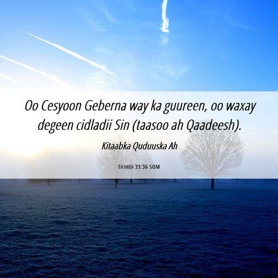 Picture 06 - Tirintii 33:36 SOM - Oo Cesyoon Geberna way ka guureen, oo waxay - Bible Verse Picture