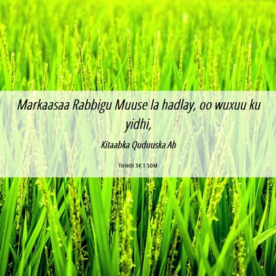 Picture 06 - Tirintii 34:1 SOM - Markaasaa Rabbigu Muuse la hadlay, oo wuxuu ku - Bible Verse Picture
