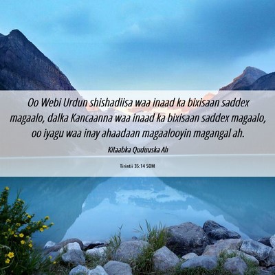 Picture 06 - Tirintii 35:14 SOM - Oo Webi Urdun shishadiisa waa inaad ka bixisaan - Bible Verse Picture