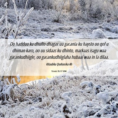 Picture 06 - Tirintii 35:17 SOM - Oo hadduu ku dhufto dhagax uu gacanta ku haysto - Bible Verse Picture