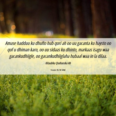 Picture 06 - Tirintii 35:18 SOM - Amase hadduu ku dhufto hub qori ah oo uu gacanta - Bible Verse Picture